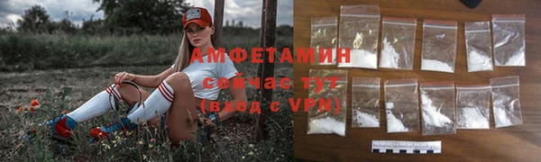 молекула духа Киреевск