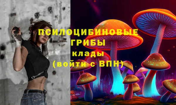 a pvp Кинешма