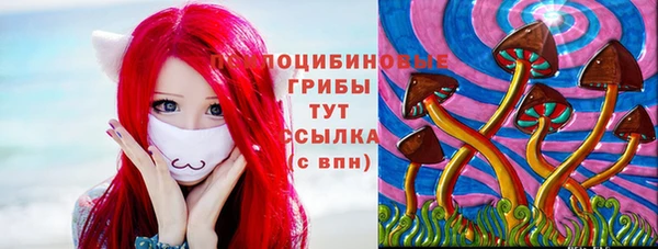 хмурый Коряжма
