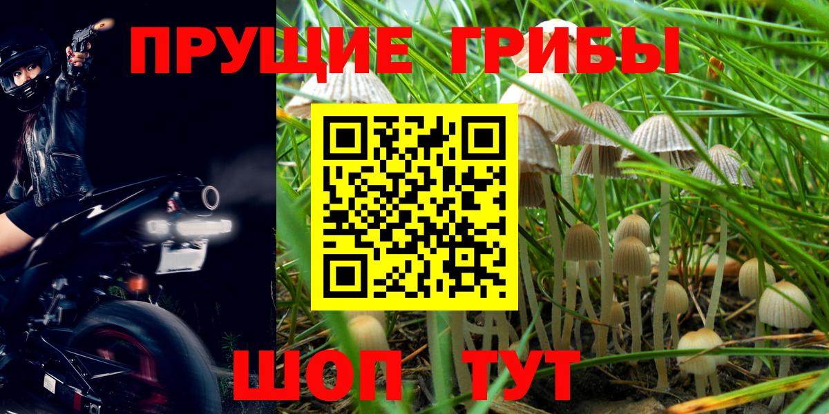 Псилоцибиновые грибы мухоморы Кстово