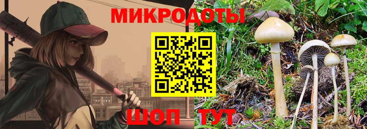 Псилоцибиновые грибы Psilocybe  закладки  Кстово  Вход с VPN  Галлюциногенные грибы Cubensis 